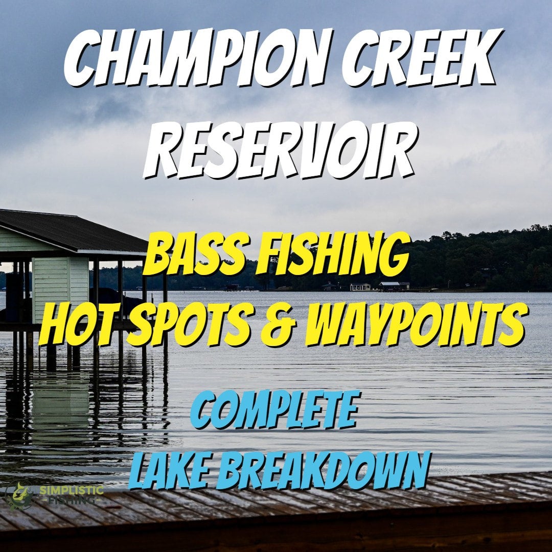Need help finding fish on Champion Creek? Try these waypoints and