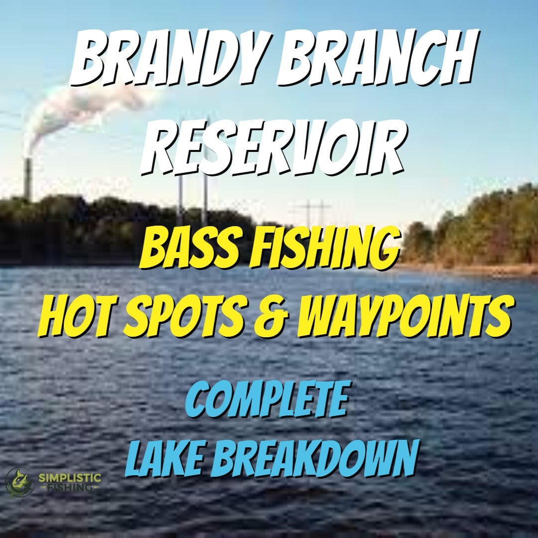 Brandy Branch Reservoir - Hot Spots & Waypoints | Simplistic Fishing